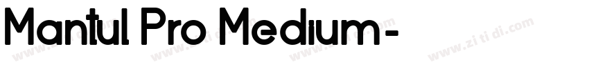 Mantul Pro Medium字体转换